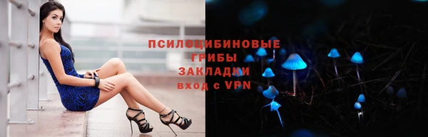 героин Алексин