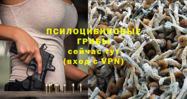 2c-b Алексеевка