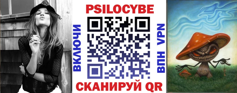 наркота  Ленинск-Кузнецкий  Псилоцибиновые грибы прущие грибы 
