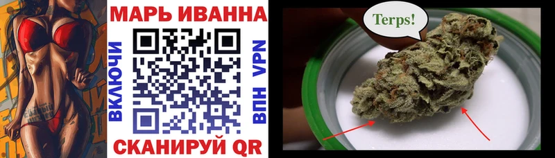 купить закладку Ленинск-Кузнецкий Конопля SATIVA & INDICA